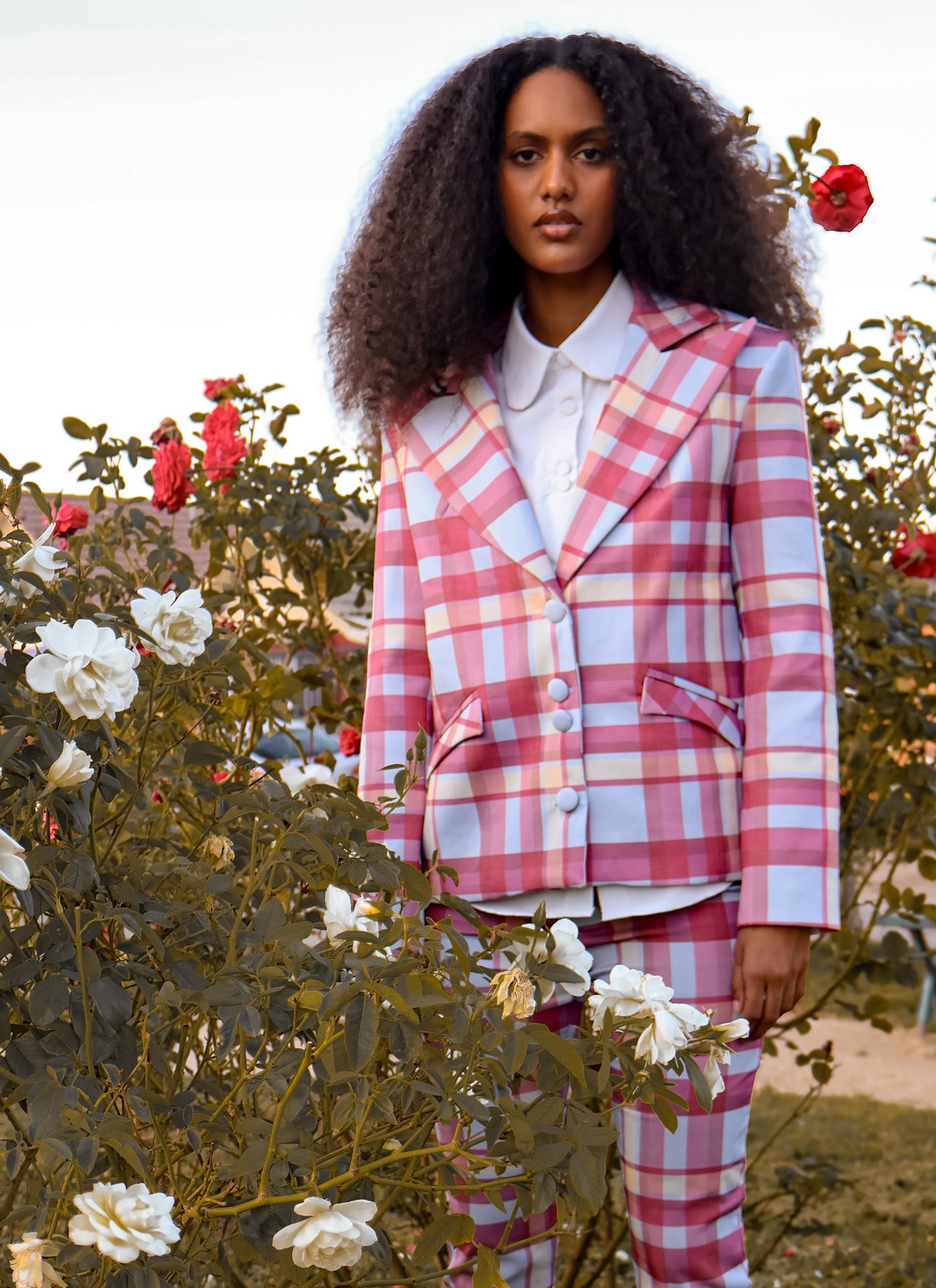 Blazer June Celeste
